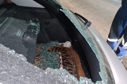 spaima cartierului icil care distrugea masini cu lopata a iesit din puscarie si a distrus alte masini 69fd044cf355c