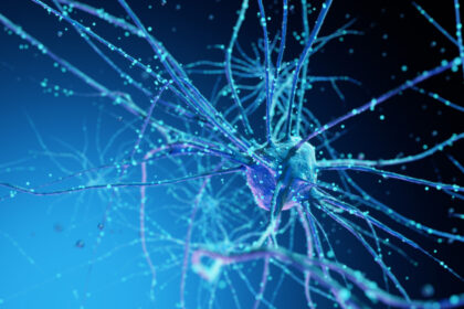 un centru de date va fi alimentat in premiera de neuroni umani crescuti in laborator 69f79c5ace0e3