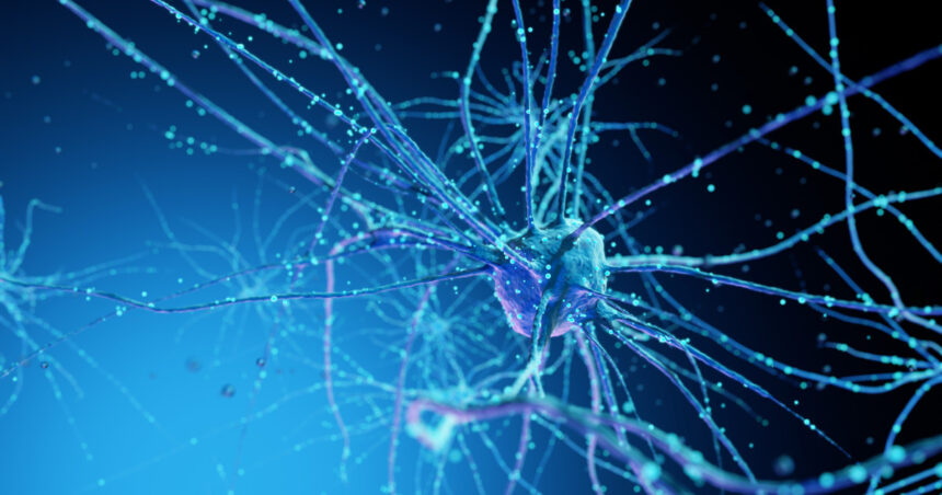 un centru de date va fi alimentat in premiera de neuroni umani crescuti in laborator 69f79c5ace0e3