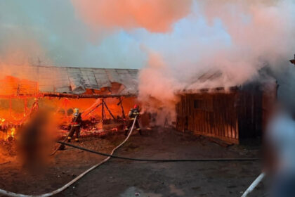 un incendiu violent a cuprins doua adaposturi de animale intr o localitate din suceava 69fd01fbd2a38