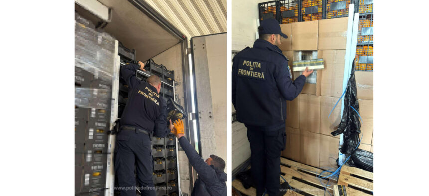 video captura uriasa la granita cu bulgaria tigari de peste 2 milioane de euro ascunse printre portocale 69fdac908a0b4