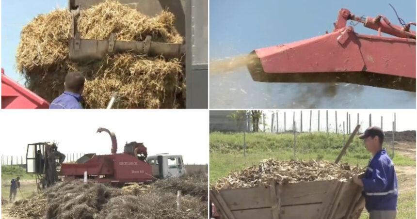 video comuna care transforma resturile vegetale din gospodarii in ingrasamant natural localnicii fac rand la utilajul cumparat de primarie 69f97a7f34784