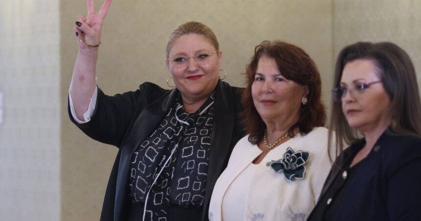video diana sosoaca circ la palatul cotroceni in ziua consultarilor cu nicusor dan este ca mi sta bine aici 6a0b1afea562d
