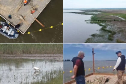 video experiment inedit in dolj insule artificiale pentru atragerea pasarilor salbatice pe cel mai mare lac din judet e doar inceputul 6a129182deca6