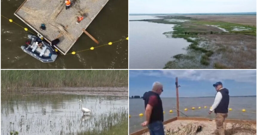 video experiment inedit in dolj insule artificiale pentru atragerea pasarilor salbatice pe cel mai mare lac din judet e doar inceputul 6a129182deca6