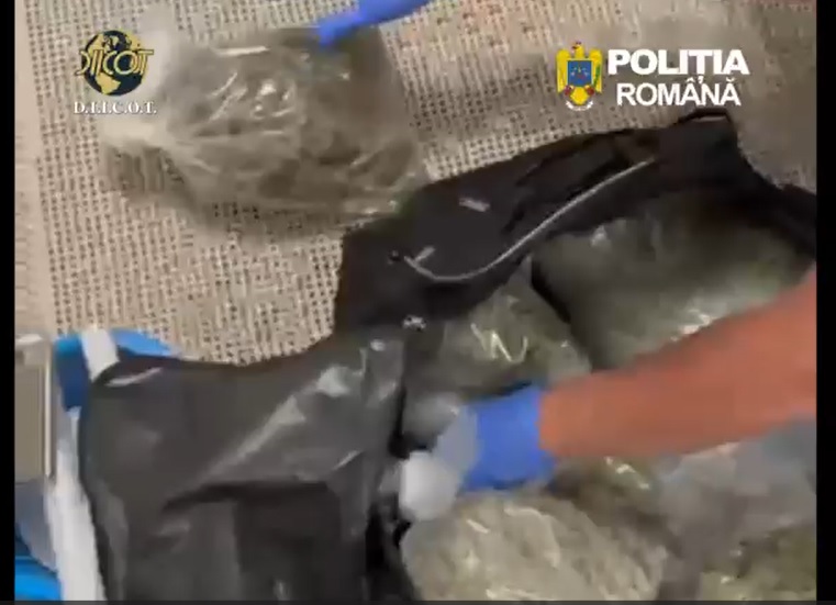 video flagrant pe a2 11 kg de canabis urmau sa ajunga pe litoral 69f4e3383e8f8