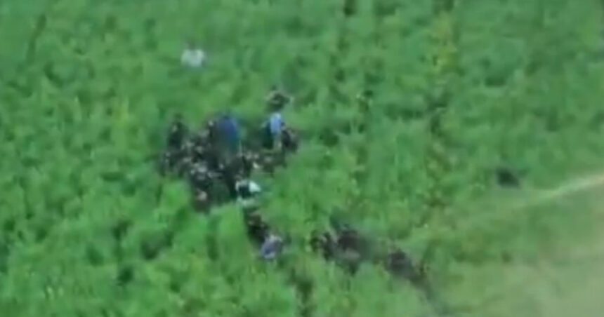video imagini cu momentul capturarii suspectului in crima din bihor barbatul era ascuns intr un lan de rapita 69fe537ac4997
