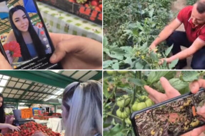 video noul trend printre comerciantii din piete fructe si legume promovate pe retelele sociale cum ajuta clipurile online vanzarile 6a1151c08d485
