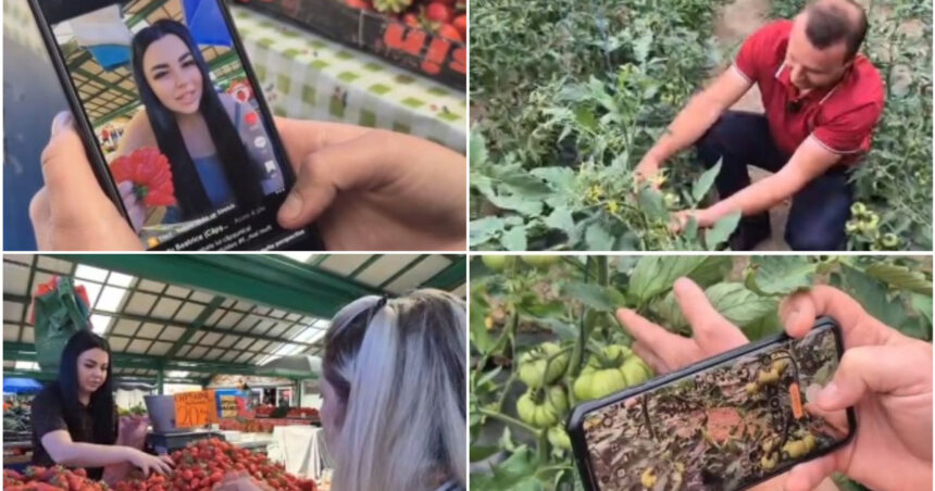 video noul trend printre comerciantii din piete fructe si legume promovate pe retelele sociale cum ajuta clipurile online vanzarile 6a1151c08d485