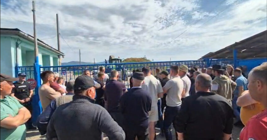 video protest in hunedoara cel mai bogat oier din romania acuzat ca nu a platit milioane de euro unor fermieri isi bate joc de noi 6a145e3d5fe08