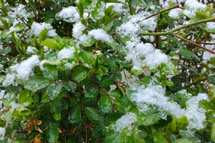 video record de temperaturi de iarna in romania cand revine caldura 69f4b1658e2ea