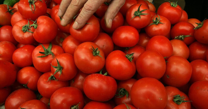 video sunt tratate sa reziste pericolul rosiilor perfecte din piete si supermarketuri cum le putem recunoaste pe cele cu pesticide 6a0be290aea41