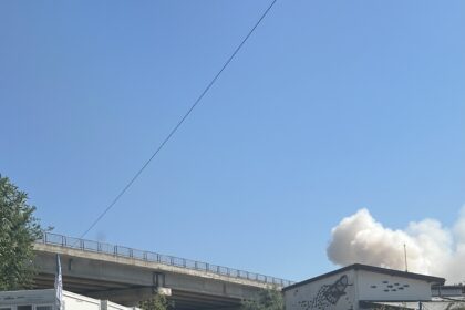 IMG 5356