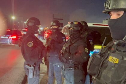 babadag politisti amenintati cu coasa si o fetita de 3 ani folosita drept scut uman decizie definitiva la tribunalul tulcea 6a3fa92e7e2d5