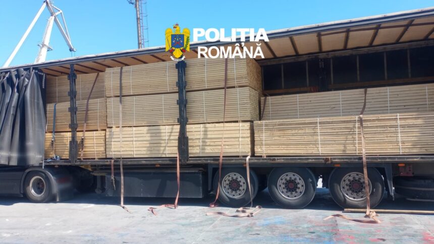 cherestea transportata ilegal descoperita cu autospeciala cargoscan in portul constanta sud s a deschis dosar penal 6a3a715408bc6