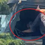 dosarul in care politistii locali care au intervenit la accidentul cu tir ul din tomis nord sunt cercetati pentru purtare abuziva a ajuns la parchet 6a3c5dec8b0a6
