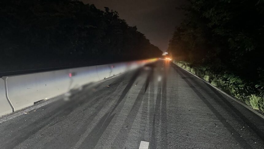 el este barbatul care a murit dupa ce a sarit dintr o masina si a fost lovit de alte 2 autoturisme pe dn 39 intre tuzla si 23 august 6a268eb6e2ef1