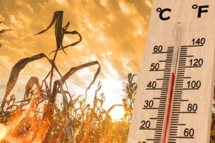 el nino se intensifica in pacific avertisment din australia ar putea atinge cele mai ridicate niveluri observate din 1950 6a311fd5c611b