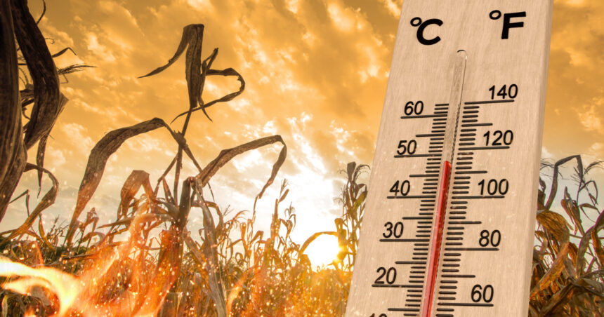 el nino se intensifica in pacific avertisment din australia ar putea atinge cele mai ridicate niveluri observate din 1950 6a311fd5c611b