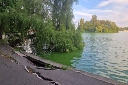 foto primaria capitalei anunta ca incepe golirea lacului herastrau pentru lucrari de reabilitare ce se intampla cu pestii si ratele 6a1dfe950b789