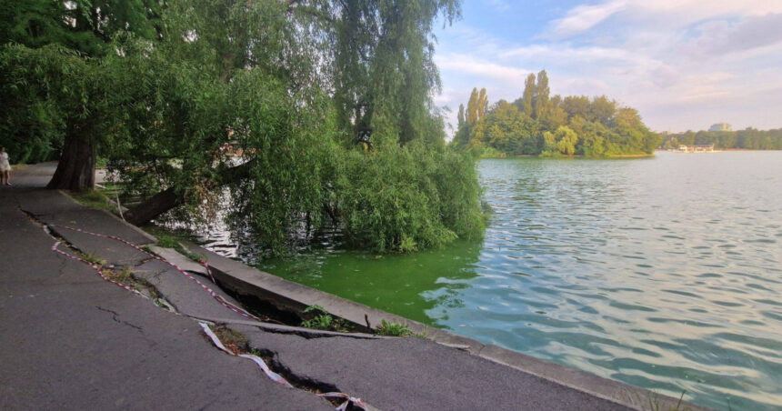 foto primaria capitalei anunta ca incepe golirea lacului herastrau pentru lucrari de reabilitare ce se intampla cu pestii si ratele 6a1dfe950b789