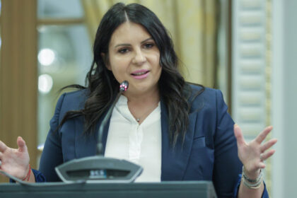gabriela horga propusa ca vicepresedinte pnl in echipa lui ilie bolojan imi asum acest proiect cu seriozitate si responsabilitate 6a3789582bad0