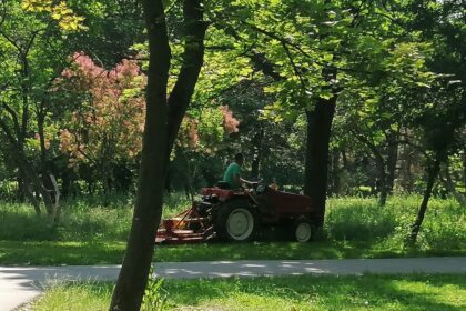 licitatia pentru modernizarea sistemului de irigatii din parcul tabacarie a atras o singura oferta 6a21ea50b3552