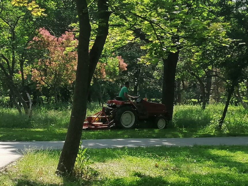 licitatia pentru modernizarea sistemului de irigatii din parcul tabacarie a atras o singura oferta 6a21ea50b3552