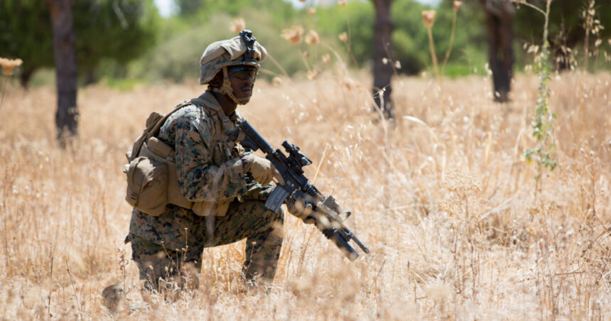 nava de asalt amfibiu castilla aduce in romania 200 de infanteristi marini spanioli 6a1d91b5e065d