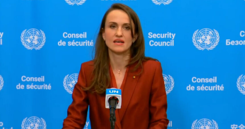 oana toiu dupa consiliul de securitate al onu comunitatea internationala arata ca o incalcare flagranta nu trebuie sa fie tolerata 6a1e760dda212