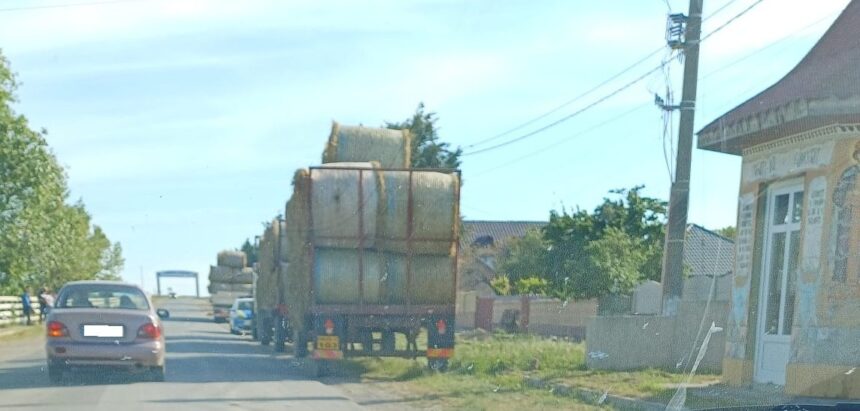oficial de la ipj constanta despre dosarul penal cu care s a ales primarul din ciobanu prins fara permis auto la volanul unui utilaj agricol 6a3792a230559