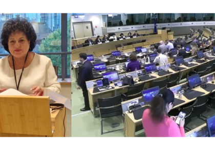 primarul comunei cumpana mariana gaju membra a comitetului european al regiunilor prezenta in aceste zile la bruxelles vezi aici care este motivul 6a1f2ea663208