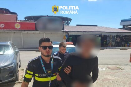 sofer fara permis retinut de politisti la costinesti fusese condamnat anterior pentru infractiuni rutiere 6a2e7416743d6