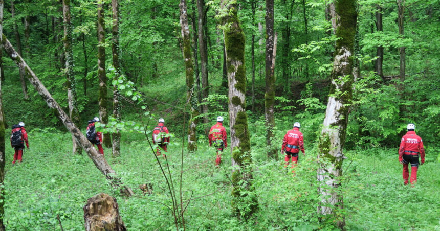 ursii si viperele coboara tot mai des pe traseele turistice recomandarile salvamont pentru cei care aleg muntele in vara 2026 6a26a55c7772f
