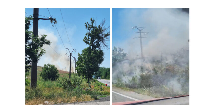 video alerta la harsova incendiu de vegetatie pe dn2a 6a40e59b6c6da