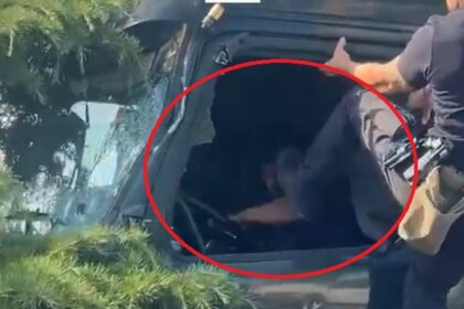 video ancheta la politia locala dupa ce un agent a lovit soferul tir ului care a facut prapad in constanta 6a27cf24ea438