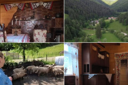 video vacanta la tara in casele localnicilor platforma care deschide portile gospodariilor pentru oaspeti vai de mine cu toata placerea 6a3b89c7de47d