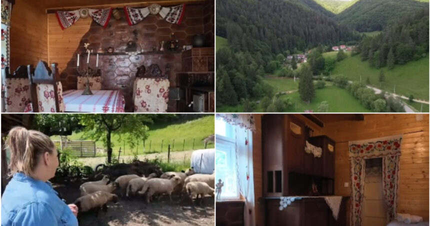 video vacanta la tara in casele localnicilor platforma care deschide portile gospodariilor pentru oaspeti vai de mine cu toata placerea 6a3b89c7de47d