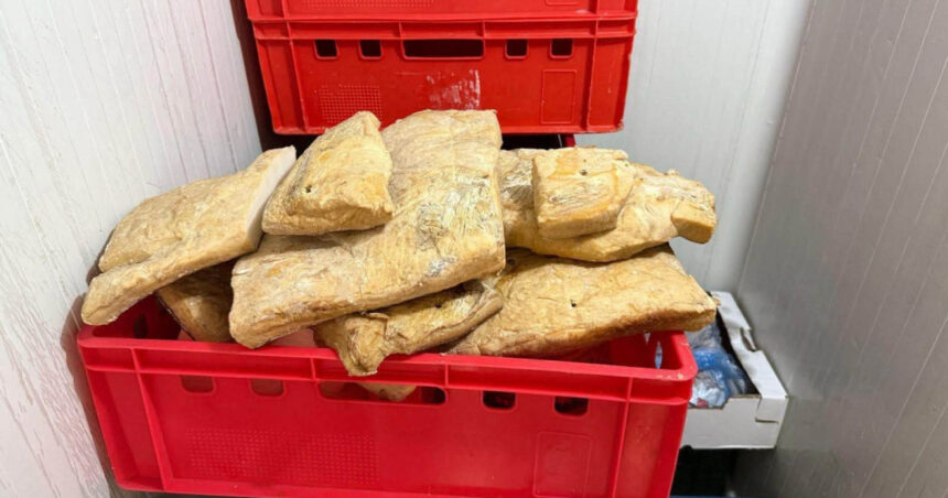 amenzi de peste un milion de lei dupa controalele anpc la comerciantii de produse de origine animala ce nereguli au fost descoperite 6a451782d7199