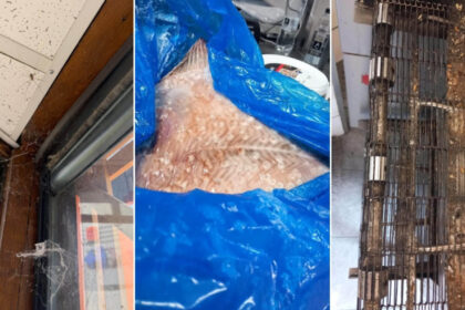 anpc a controlat peste 1 400 de companii si a dat amenzi de 4 milioane de lei saptamana aceasta principalele nereguli descoperite 6a635876ea062