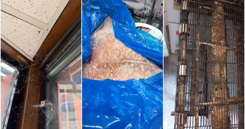 anpc a controlat peste 1 400 de companii si a dat amenzi de 4 milioane de lei saptamana aceasta principalele nereguli descoperite 6a635876ea062