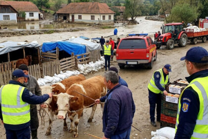 avertismentul ansvsa dupa inundatii pot aparea boli grave transmise de la animale la oameni ce recomandari au autoritatile 6a61d2659d928