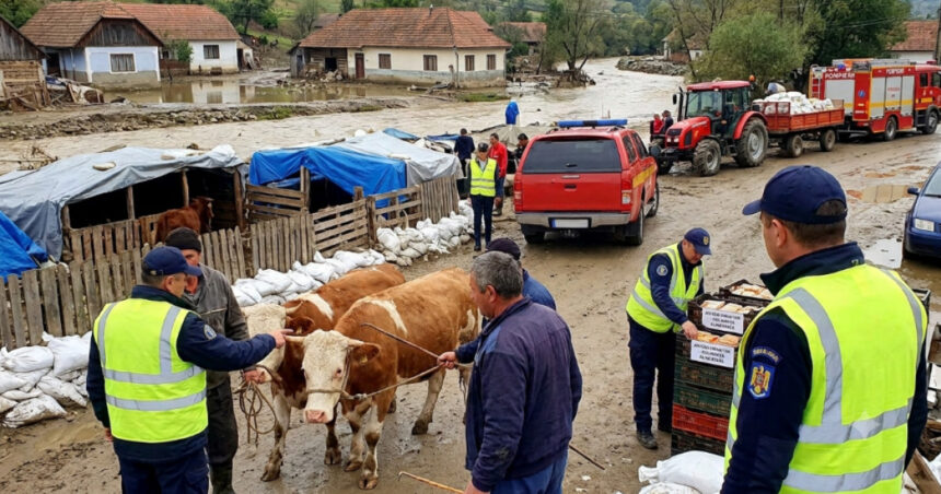 avertismentul ansvsa dupa inundatii pot aparea boli grave transmise de la animale la oameni ce recomandari au autoritatile 6a61d2659d928