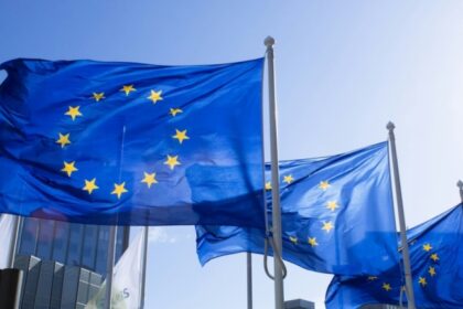taxa vamala de 3 euro pentru coletele mici care intra in ue masura vizeaza cumparaturile online din afara spatiului comunitar 6a44ebb219692
