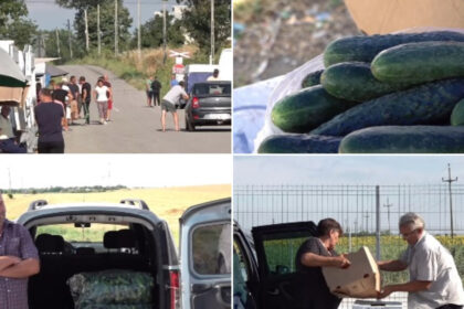 video supraproductia de castraveti esec pentru producatorii din olt pretul derizoriu cu care se vinde sacul de 25 de kilograme e pomana 6a475b9331e0d