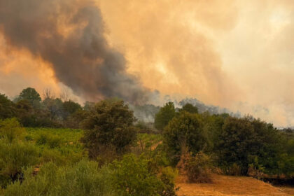 videofoto pompierii romani lupta cu un incendiu major in franta flacarile ameninta locuinte din apropierea localitatii correns 6a6cf1e198ce6