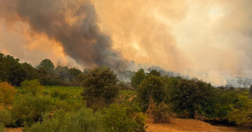 videofoto pompierii romani lupta cu un incendiu major in franta flacarile ameninta locuinte din apropierea localitatii correns 6a6cf1e198ce6