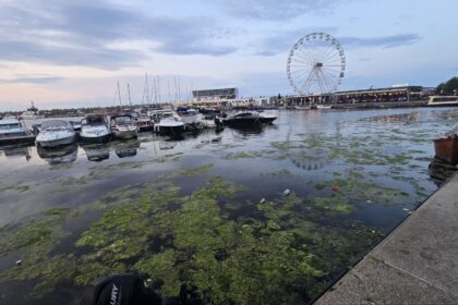 alerta in portul tomis a fost semnalata prezenta unei posibile drone in zona digului 6a8170f10f534