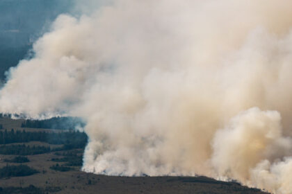 cel mai mare incendiu din istoria belgiei se indreapta acum spre germania dupa ce a devastat 3 000 de hectare 6a81b1f2ce842