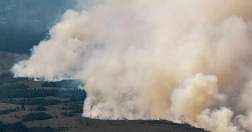 cel mai mare incendiu din istoria belgiei se indreapta acum spre germania dupa ce a devastat 3 000 de hectare 6a81b1f2ce842